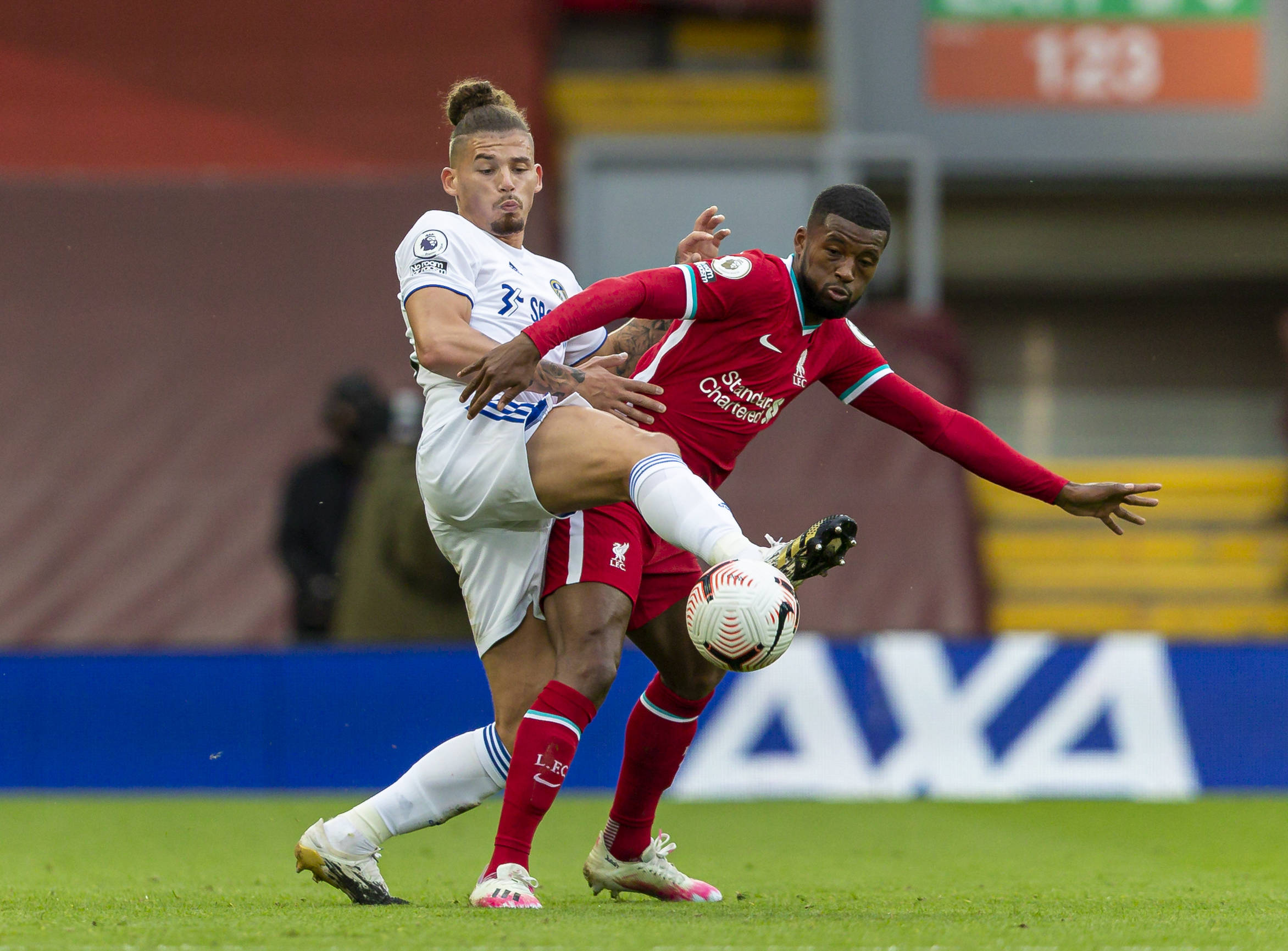 中国网球菁 中国网球菁