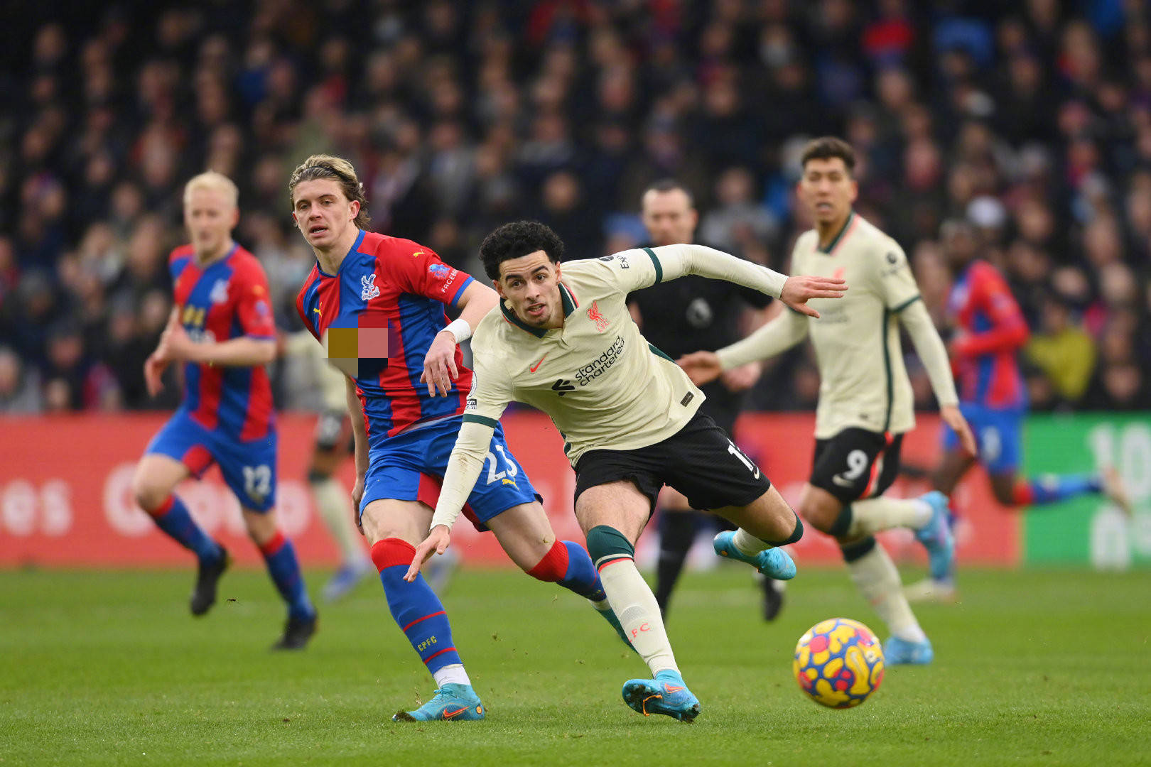 架内进行 架内进行